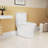 1.1/1.6 GPF Elongated Comfort Height Floor Mounted One-Piece Toilet, CUPC Certified, WaterSense Cetified, Ceramic, White Color, Soft Close Seat