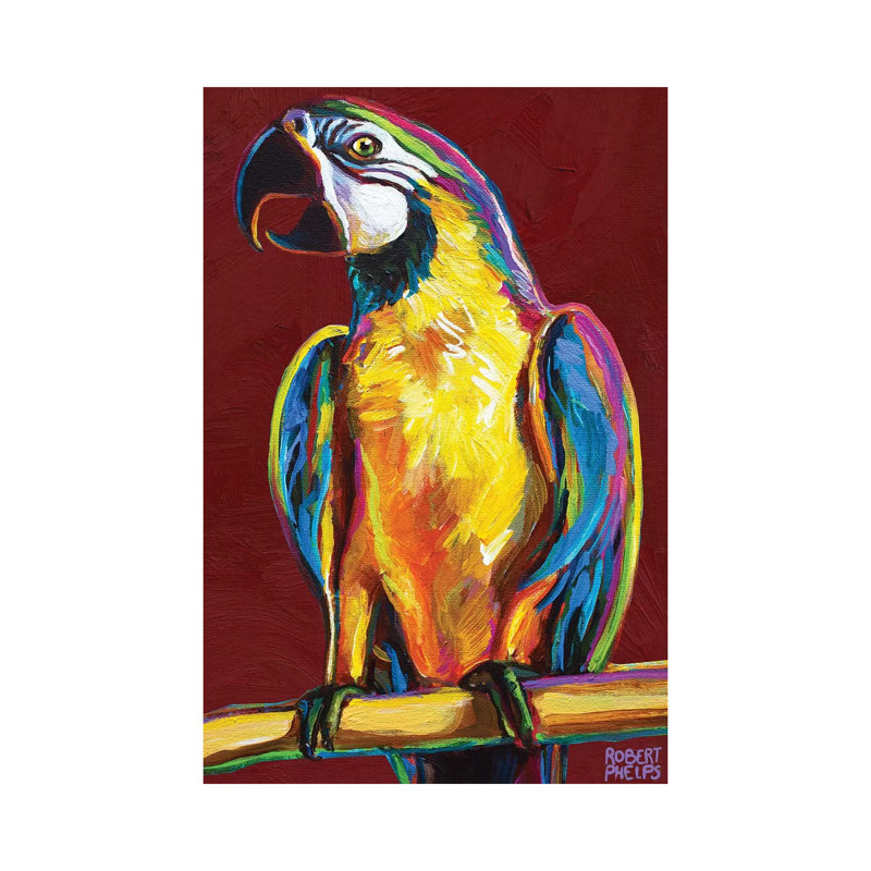 Parrot On Red 1 Piece Wall Art on Canvas, 30.48 cm H x 45.72 cm W, Canvas