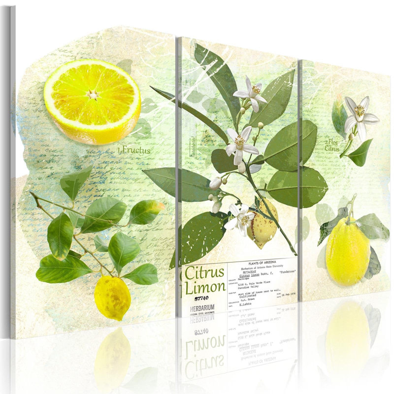 " Lemon Fruit " 3 - Pieces, 24" H  x 36" W x 0.7" D
