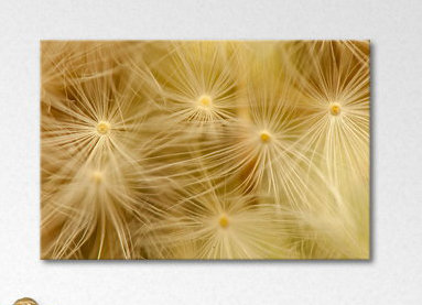 Wrapped Canvas Print, 80cm H x 120cm W x 2cm D
