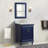 Ilfracombe 25'' Single Bathroom Vanity with Top-1560128008-1531376511