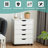 5 Drawer Storage Drawer