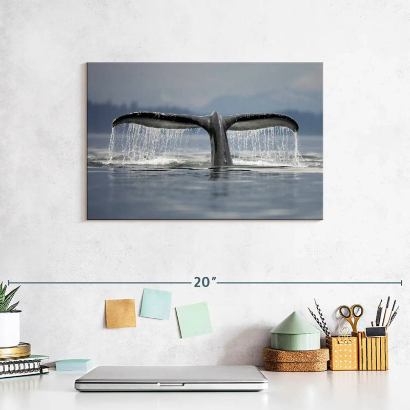 Brampt Diving Whale Tail, 8" H x 12" W