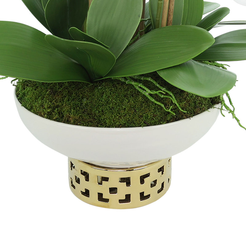 Orchids Arranged in Ceramic Key Footed Pot