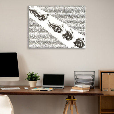 Curl Up by M.C.Escher Gallery Wrapped Canvas