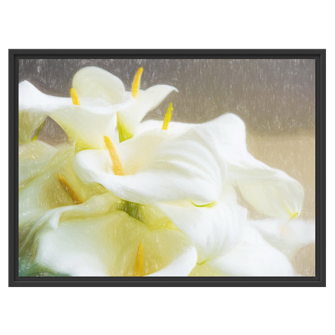 Gerahmtes Poster Beautiful White Calla Lilies