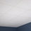 Genesis 2ft x 2ft Printed Pro Ceiling Tiles - Easy Drop-in Installation – Waterproof, Washable and Fire-Rated - High-Grade PVC to Prevent Breakage - Package of 12 Tiles