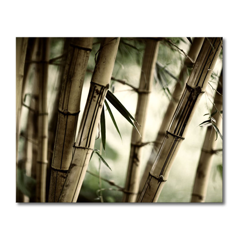 Wrapped Canvas Print, 80cm H x 100cm W x 2cm D