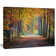 Wide Pathway in Yellow Fall Forest - Photograph Print