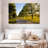 Alvord Bunny Roadside Trees