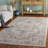 Madison 498 Performance Oriental Rug-2141839384