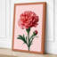 Pink Carnation Botanical - Wrapped Canvas-152179225-152179233