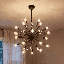 24-Light Chandelier-303541149