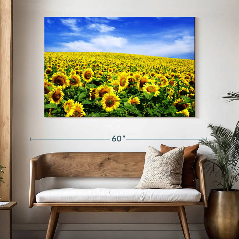 Tournesols d'Alvord sous un ciel bleu, H 34 po x l 51 po