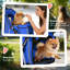 Foldable Pet Stroller