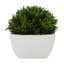 Plante artificielle en pot Baywood 6,65 po