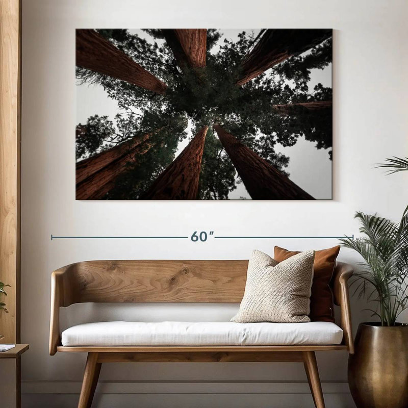 Redwoods de Harnek en Californie, H 34 po x l 51 po