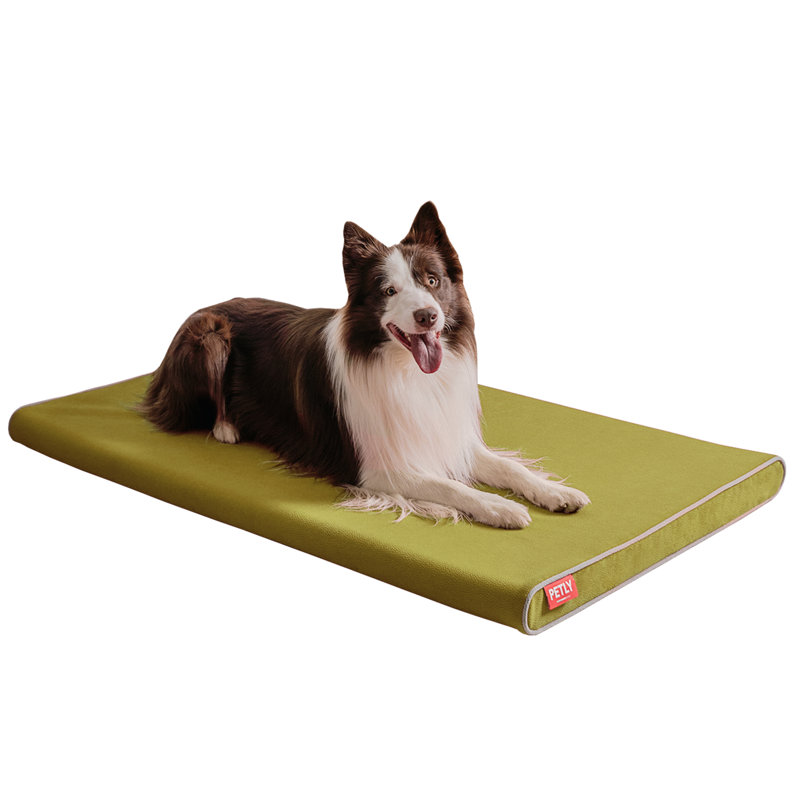 Orthopedic Microfibre Pet Bed, Green, Large (120cm W x 80cm D)