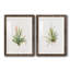 Gardenaire I - Ensemble de 2 peintures-450448133-450448134