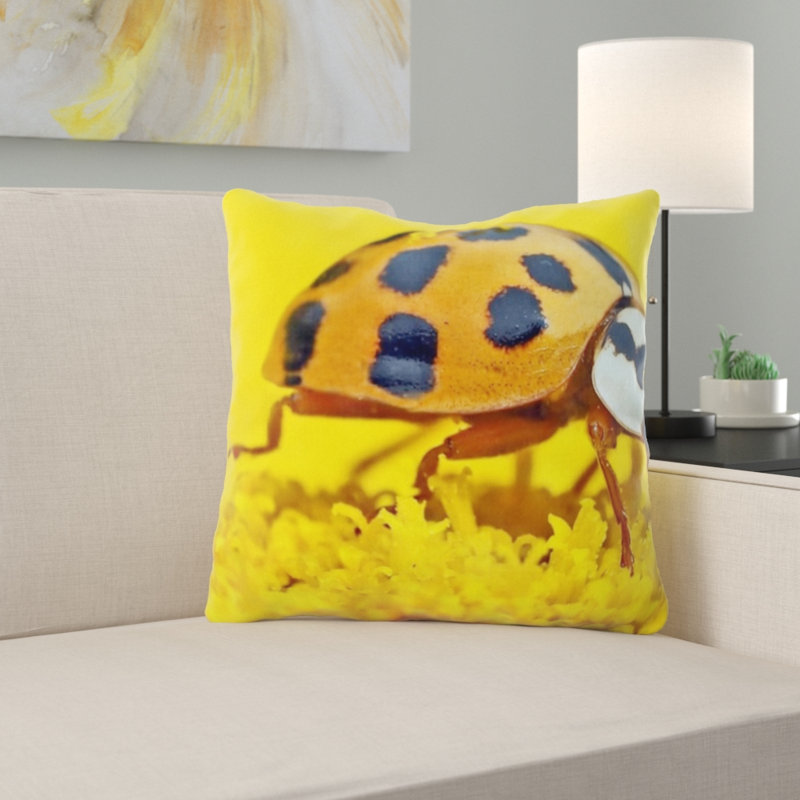 Coussin en fausser les coléoptères marie