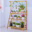 Support pour plante en bambou-961934118
