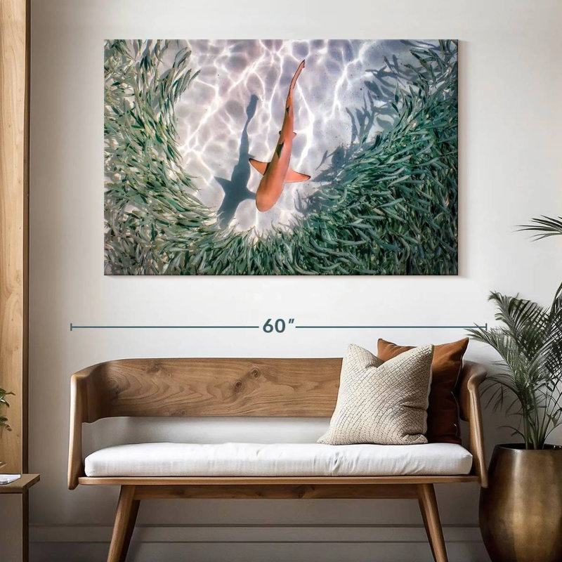 Brampt Baby Blacktip Reef Shark, 34" H x 51" W