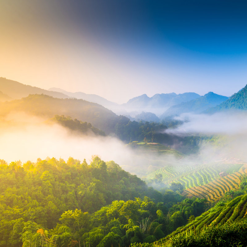 Sunshine At Misty Mountains by Primeimages - Wrapped Canvas Print, 122cm H x 122cm W