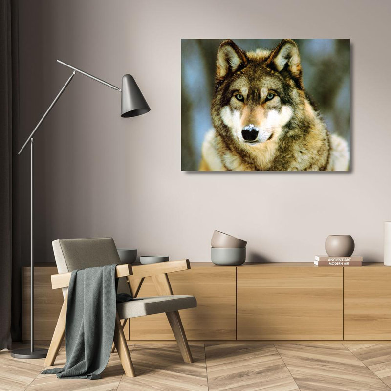 Loup gris, H 19 po x l 24 po
