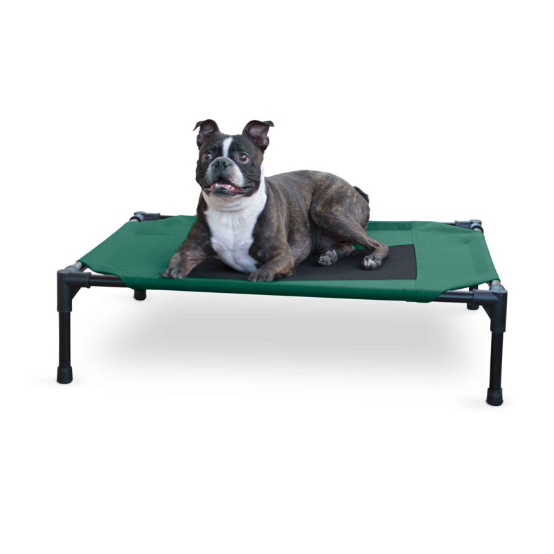 Lit de camp pour animal de compagnie Original, Moyen (l 32 po x P 25 po x H 7 po), Vert/noir