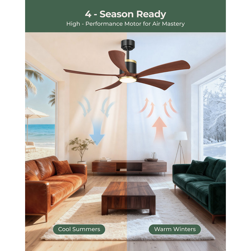 52'' Dimmable Ceiling Fan with Lights and Remote Control Reversible DC Motor 3CCT Timer , 21.5" H x 52" W x 52" D