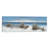 " Coastal Calm – Ocean Dunes "
