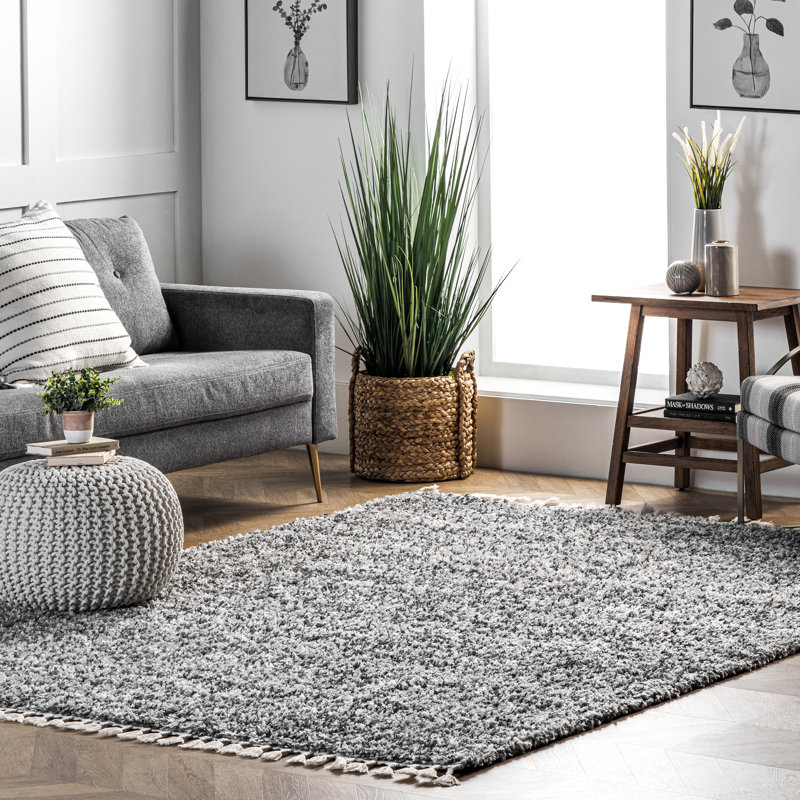 Kinard Shag Tasseled Power Loom Performance Gray Rug, Rectangle 12' x 15'5"