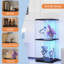 Display Cabinet-1866153052