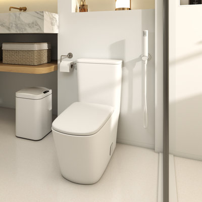 Toilette monobloc en céramique 16,5 po à jupe latérale 16,5 po GPP avec conception à jupe MaP 800-1000g