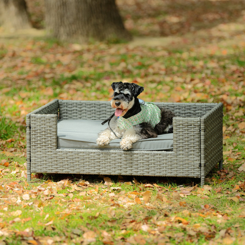 Lit pour chien Seasonal PE, H 31,89 po x l 35,83 po x P 27,95 po, Noir