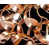 Copper Leaf