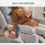 Louviers Upholstered Massage Chair