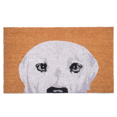 Non-Slip Outdoor Doormat