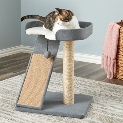 Wilmington 22.8 " H Cat Scratching Post