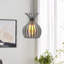 25cm H Round Pendant Shade in Clear