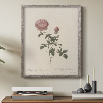 Impression florale vintage encadrée CXL III - bois massif