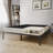 Nickalls 4.92'' Wood Box Spring-701556179