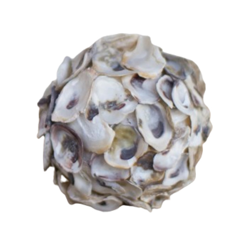 Ensemble de 4 boules décoratives naturelles 4,5 "Kalalou Oyster Shell Sphere