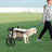 Pet Wheels Dog Wheelchair