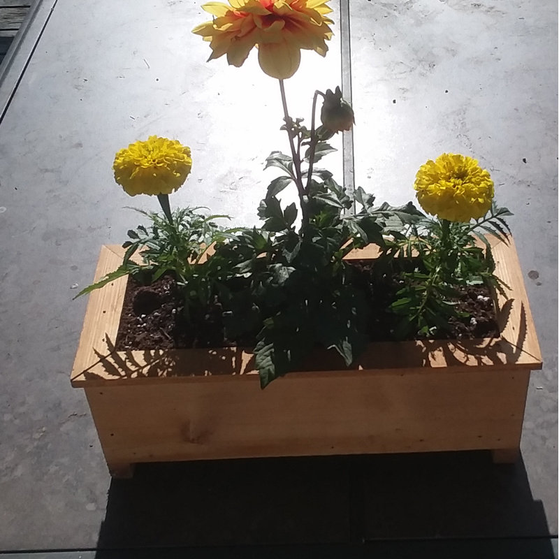 Jayne Handmade Wood Planter Box, 4.75" H x 12.5" W x 6" D