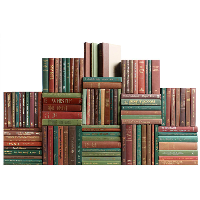 Modern Cabin Book Wall, 100