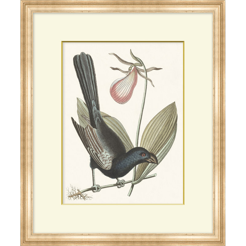 Summer Bird 6 Print