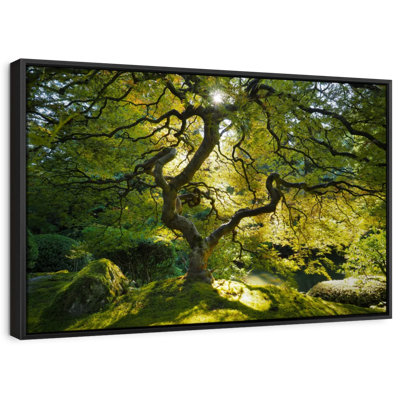 Japanese Maple Garden Canvas Print