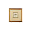 Miniature Dragonfly III Print