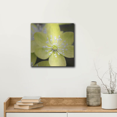 " Yellow Blossom " by PhotoINC Studio